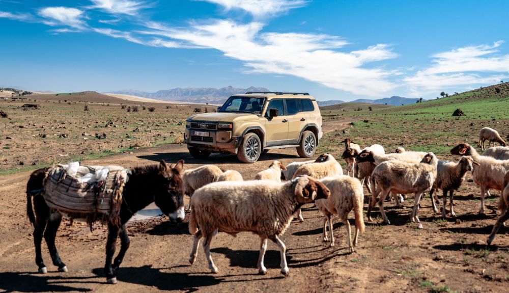 Prueba Toyota Land Cruiser Prueba Toyota Land Cruiser