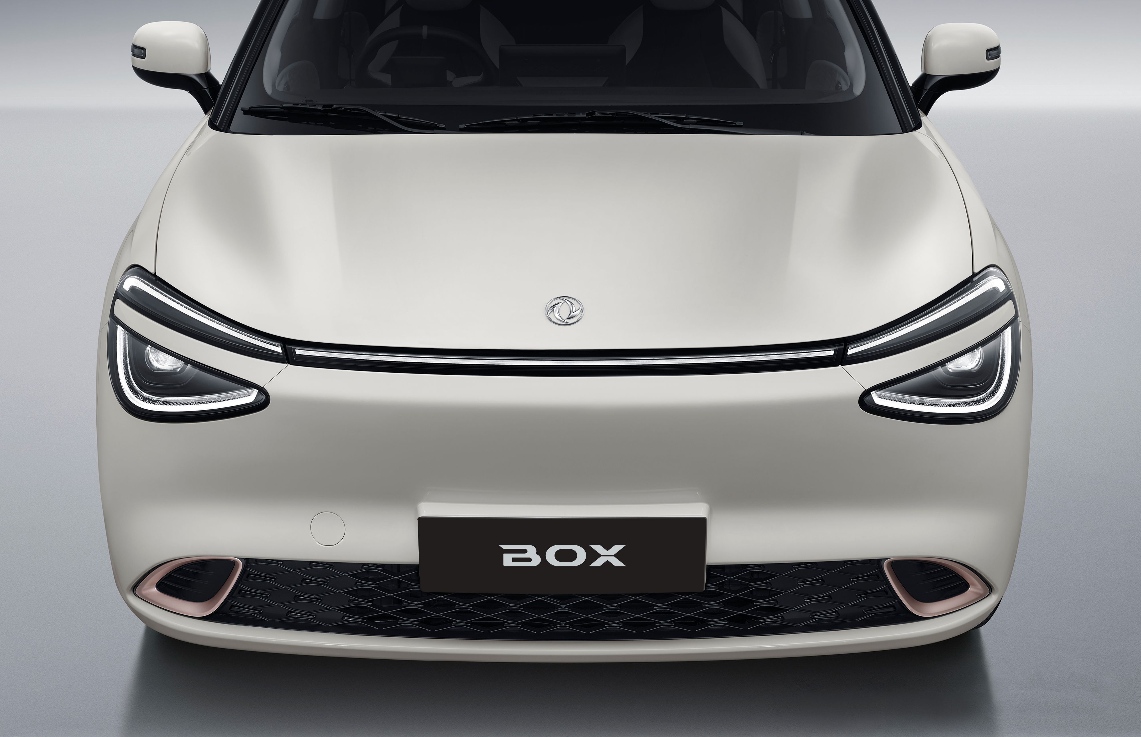 Dongfeng Box