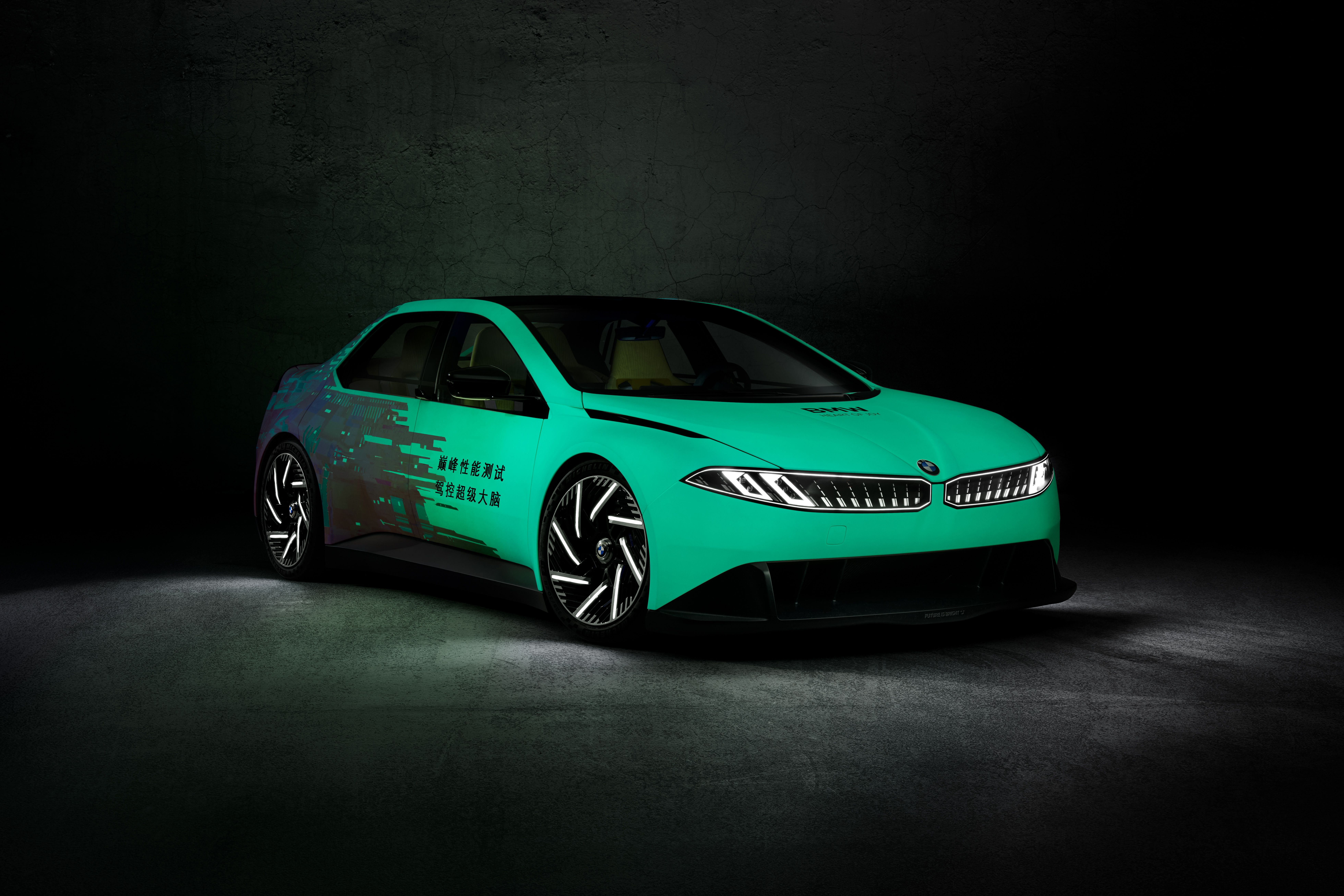 BMW Vision Driving Experience VDX