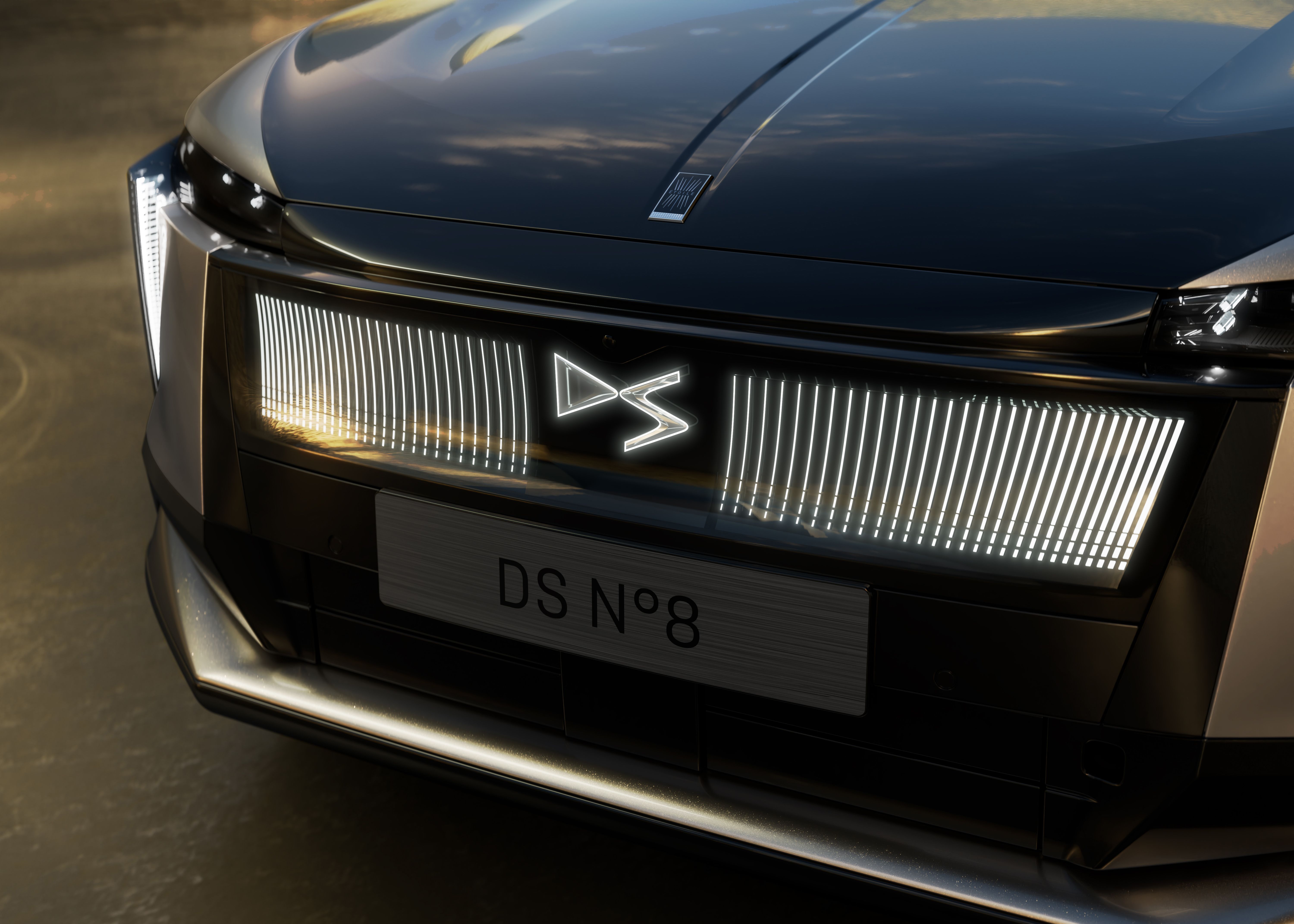 DS Nº8