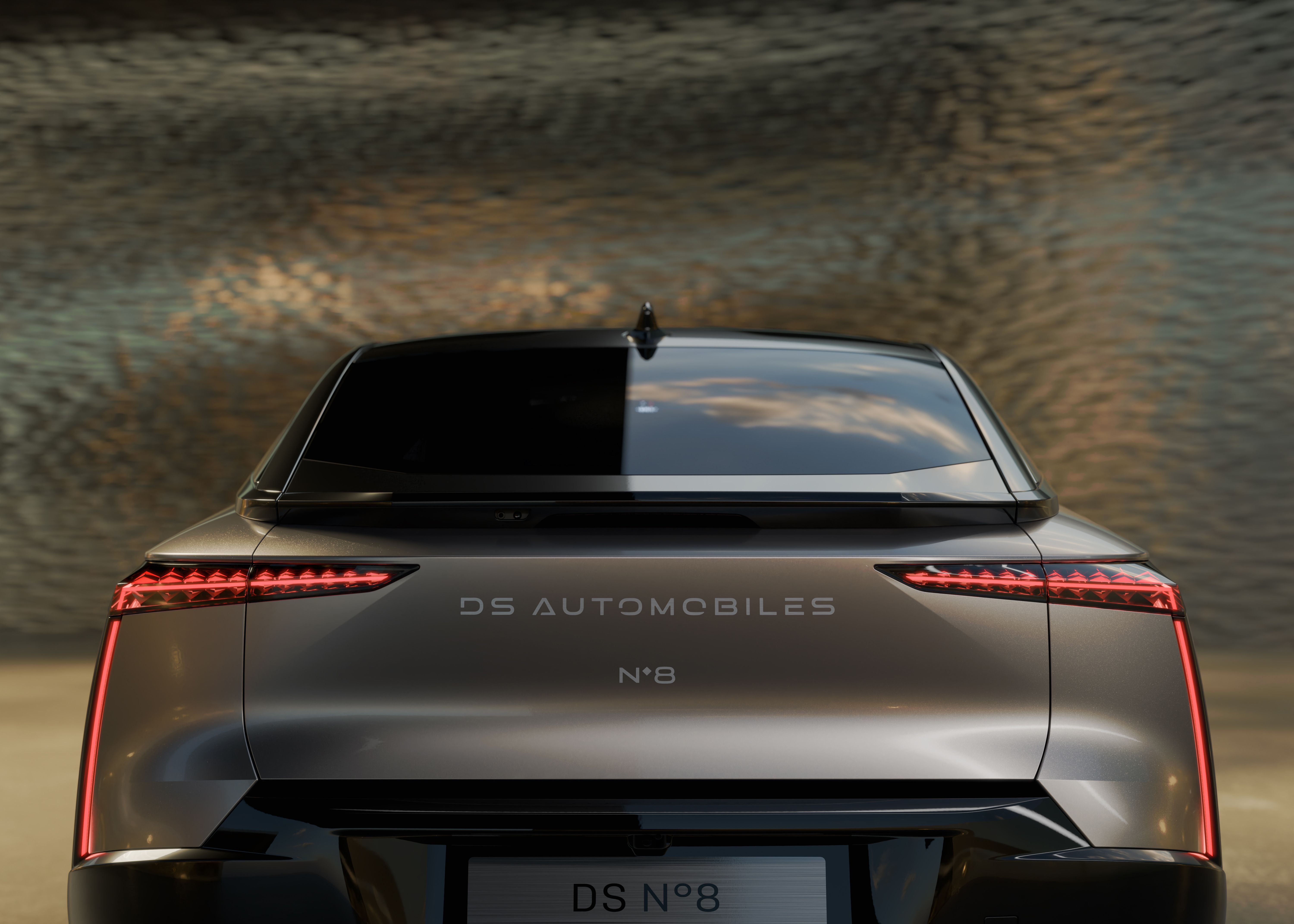 DS Nº8
