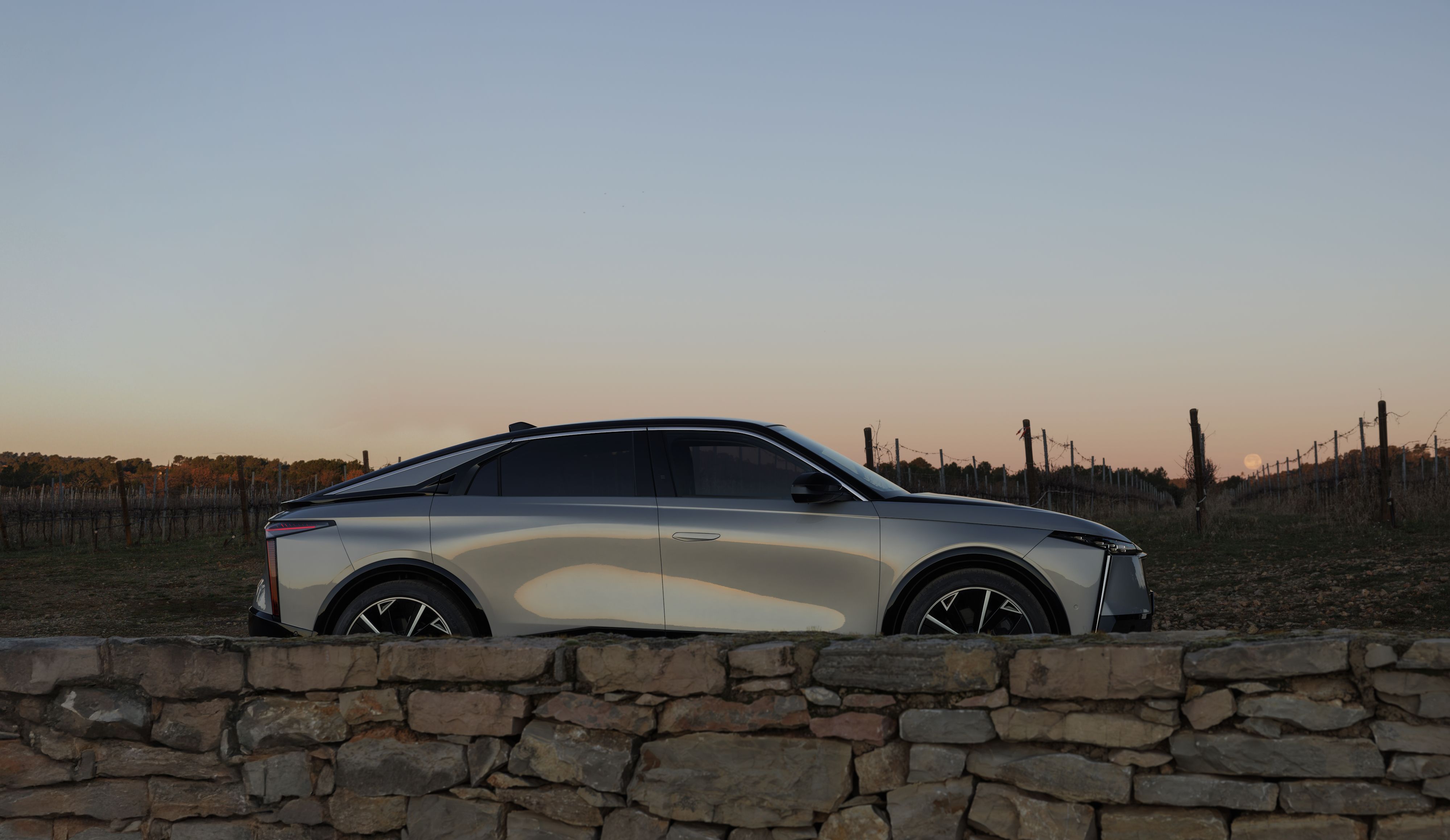 DS Nº8