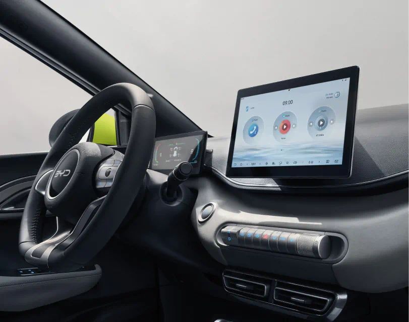 BYD Dolphin Surf