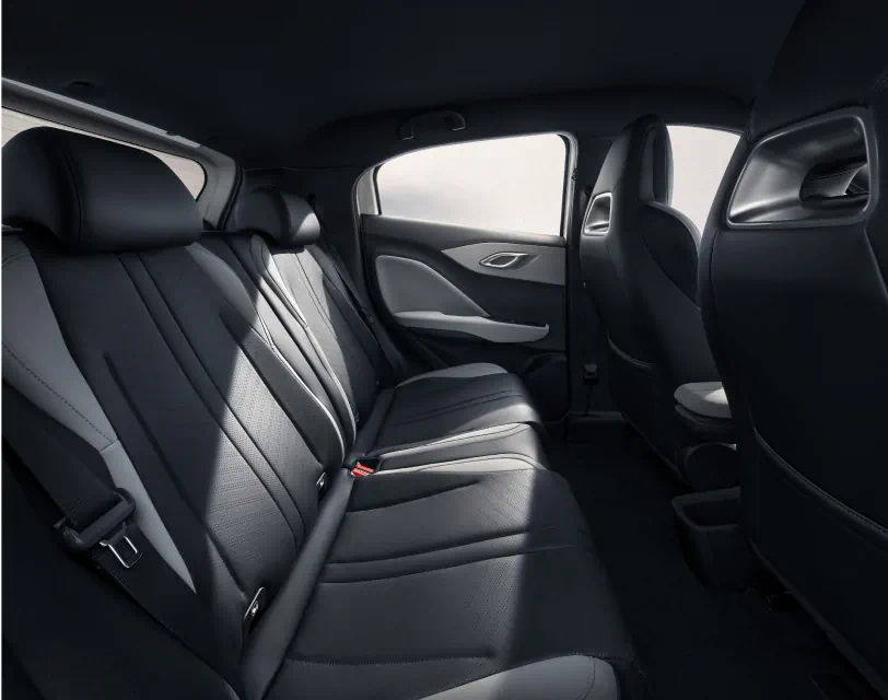 BYD Dolphin Surf