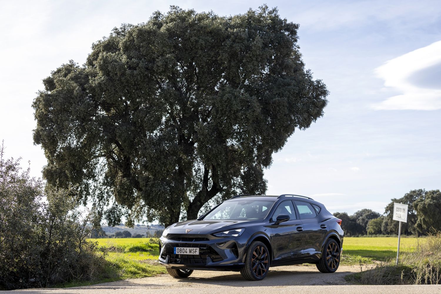 Cupra Formentor 1.5 eTSI