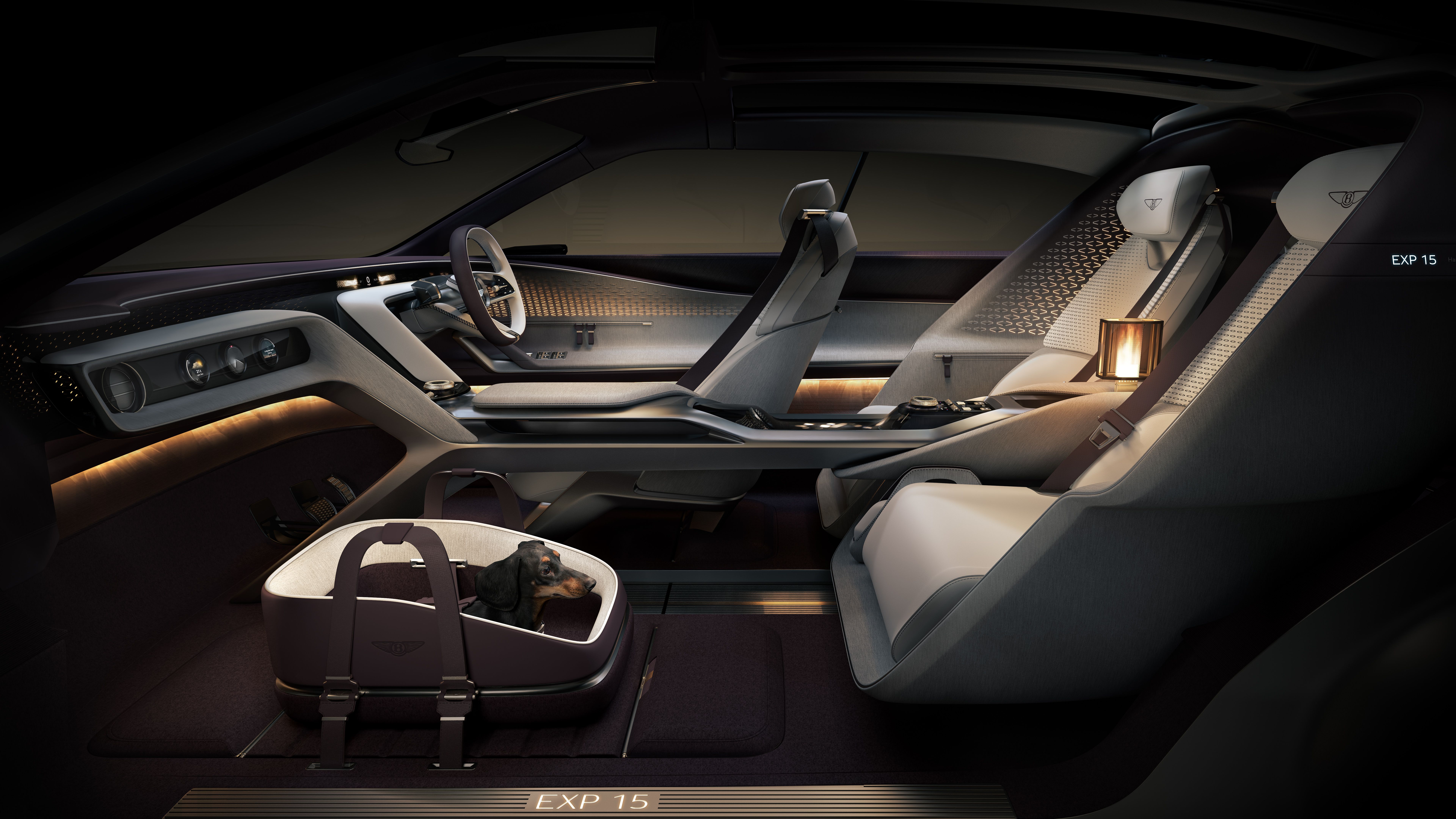 Bentley EXP 15