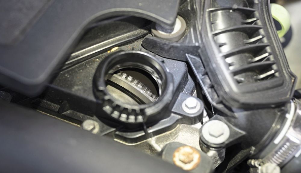 P1036218.JPG  Amendo