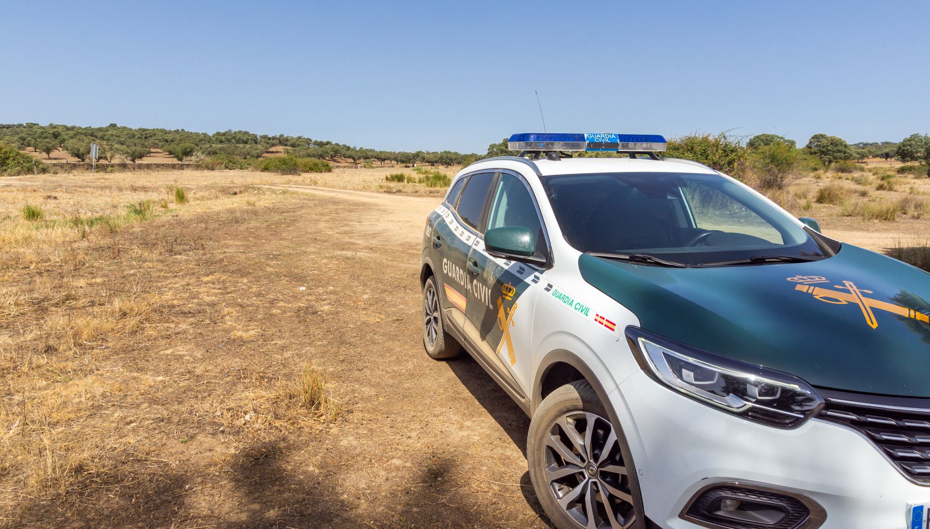 La Guardia Civil comprará pronto 1.700 coches camuflados nuevos: te contamos cómo detectarlos