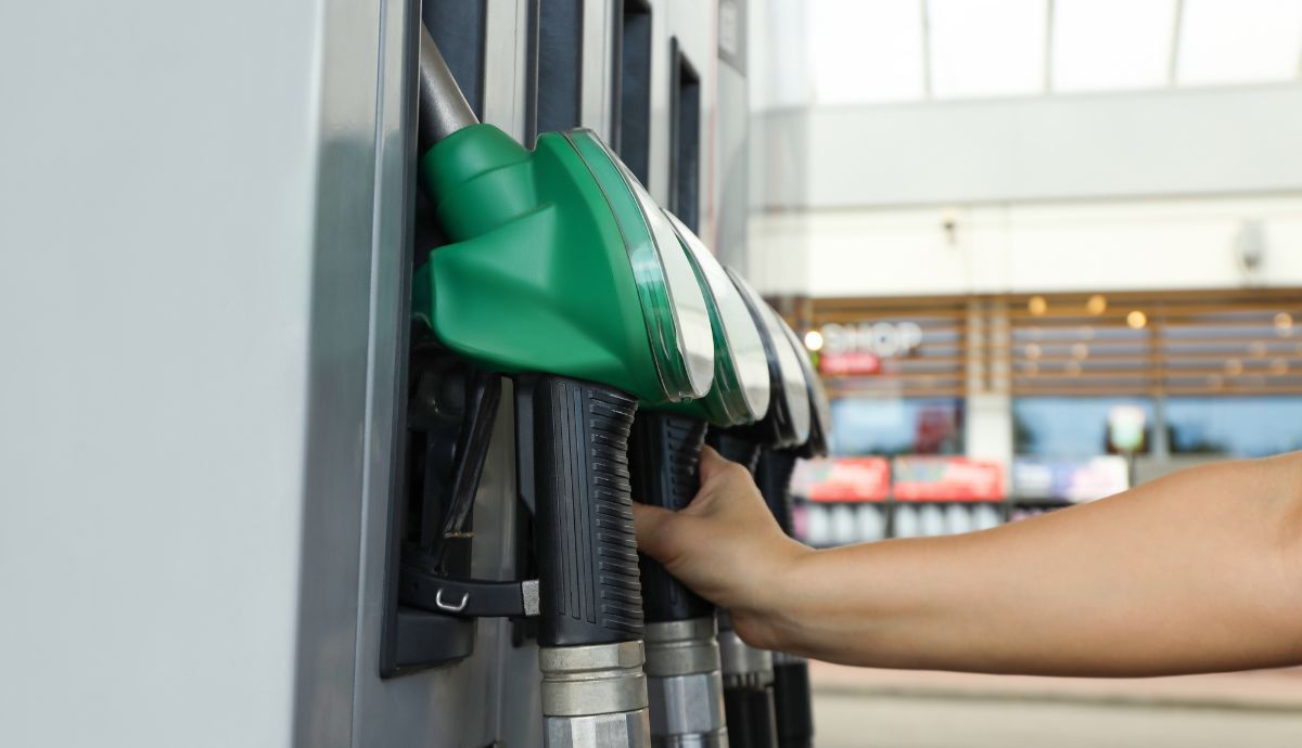 ¿Qué es gasolina catalizada?