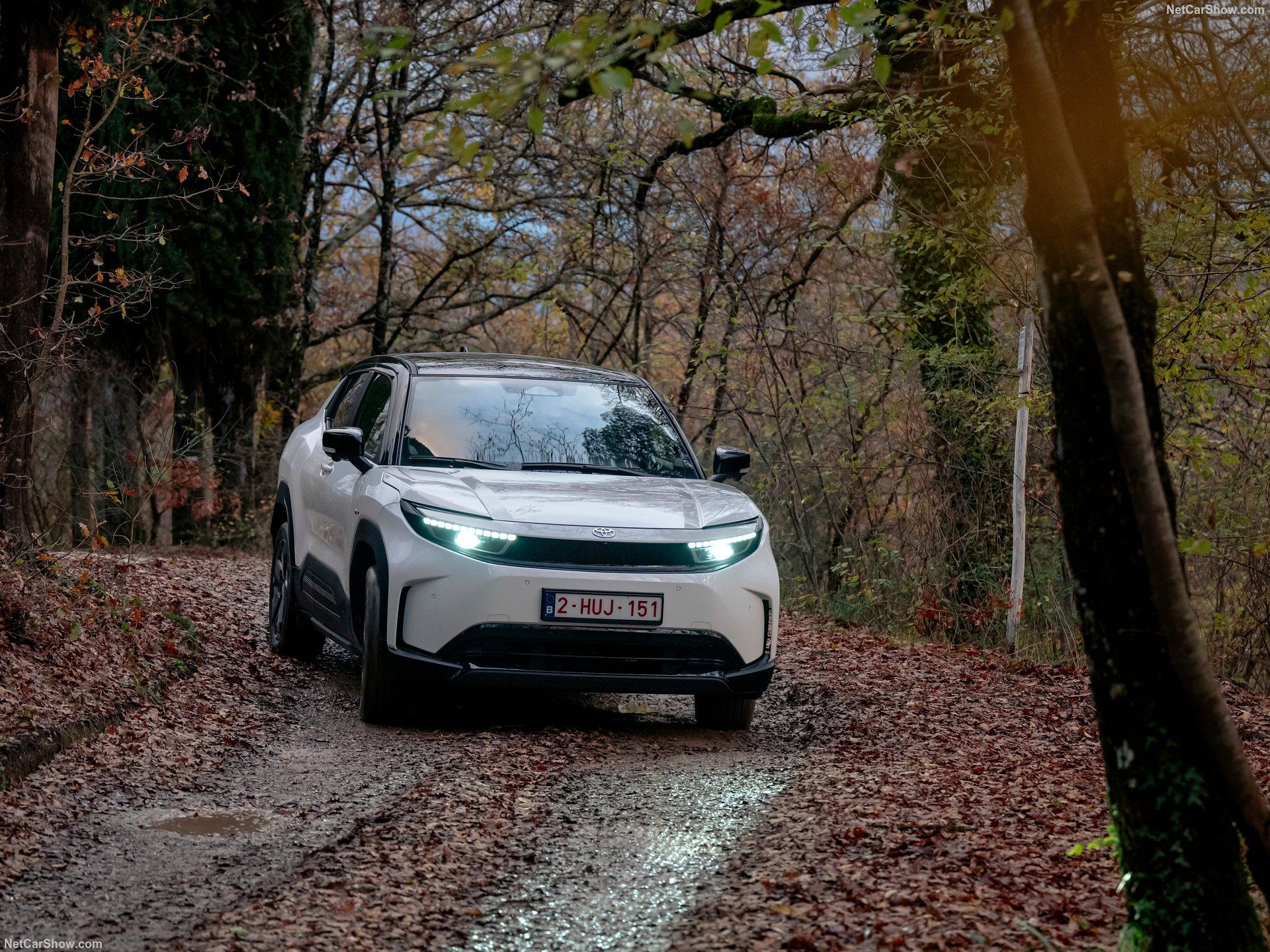 Toyota Urban Cruiser