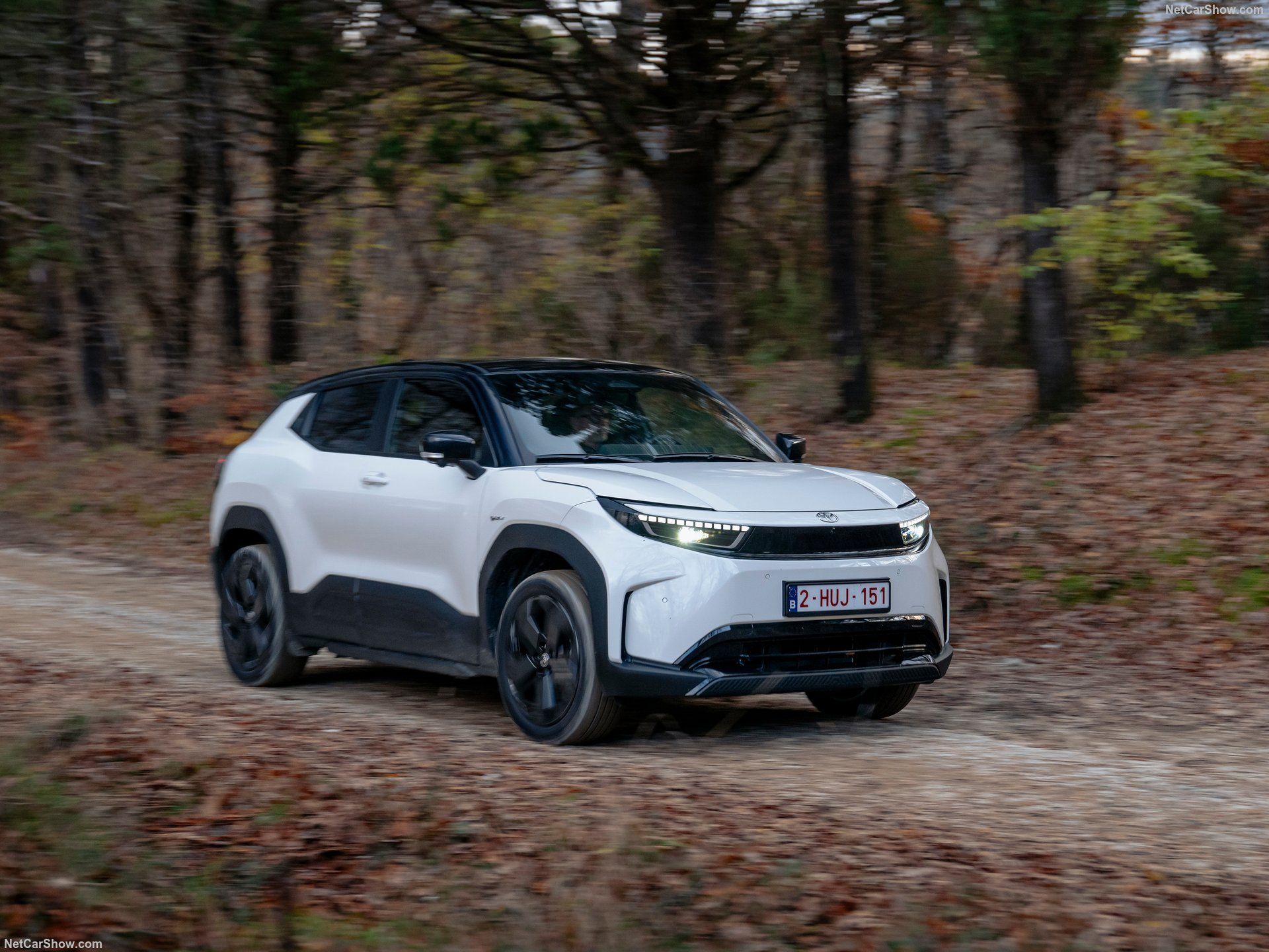 Toyota Urban Cruiser