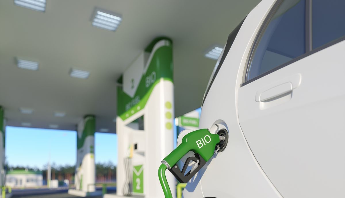 Ojo a los biocombustibles, la UE clasifica el aceite de soja como un producto de riesgo