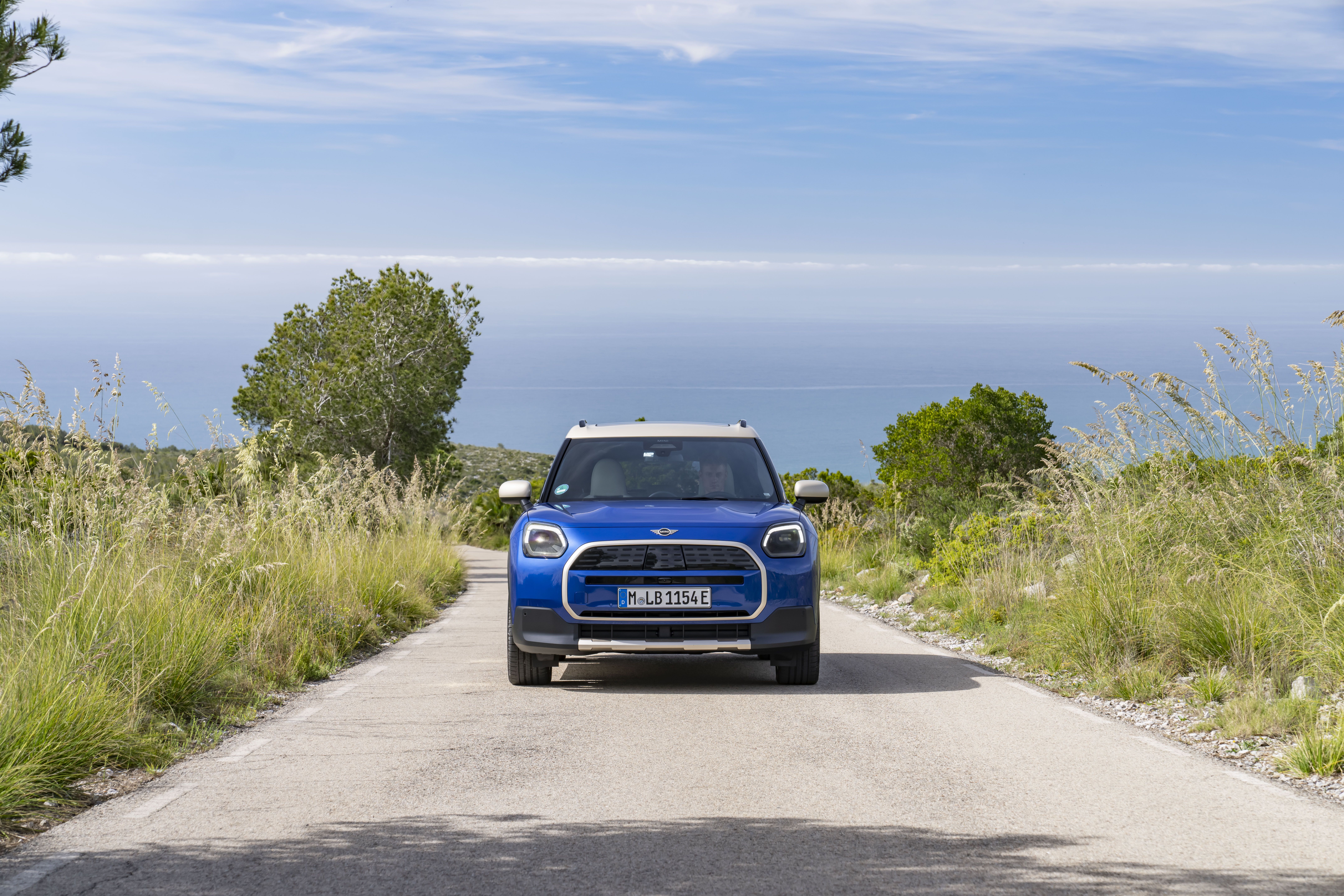 Mini Countryman E