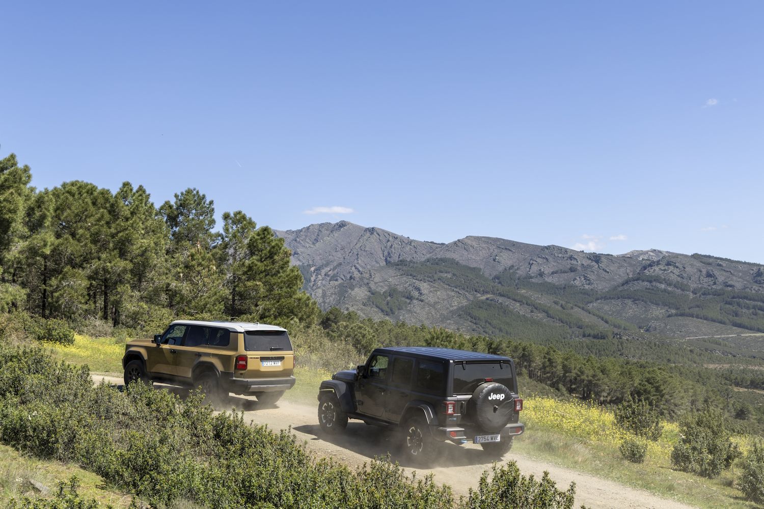 Toyota Land Cruiser vs Jeep Wrangler 4xe Rubicon
