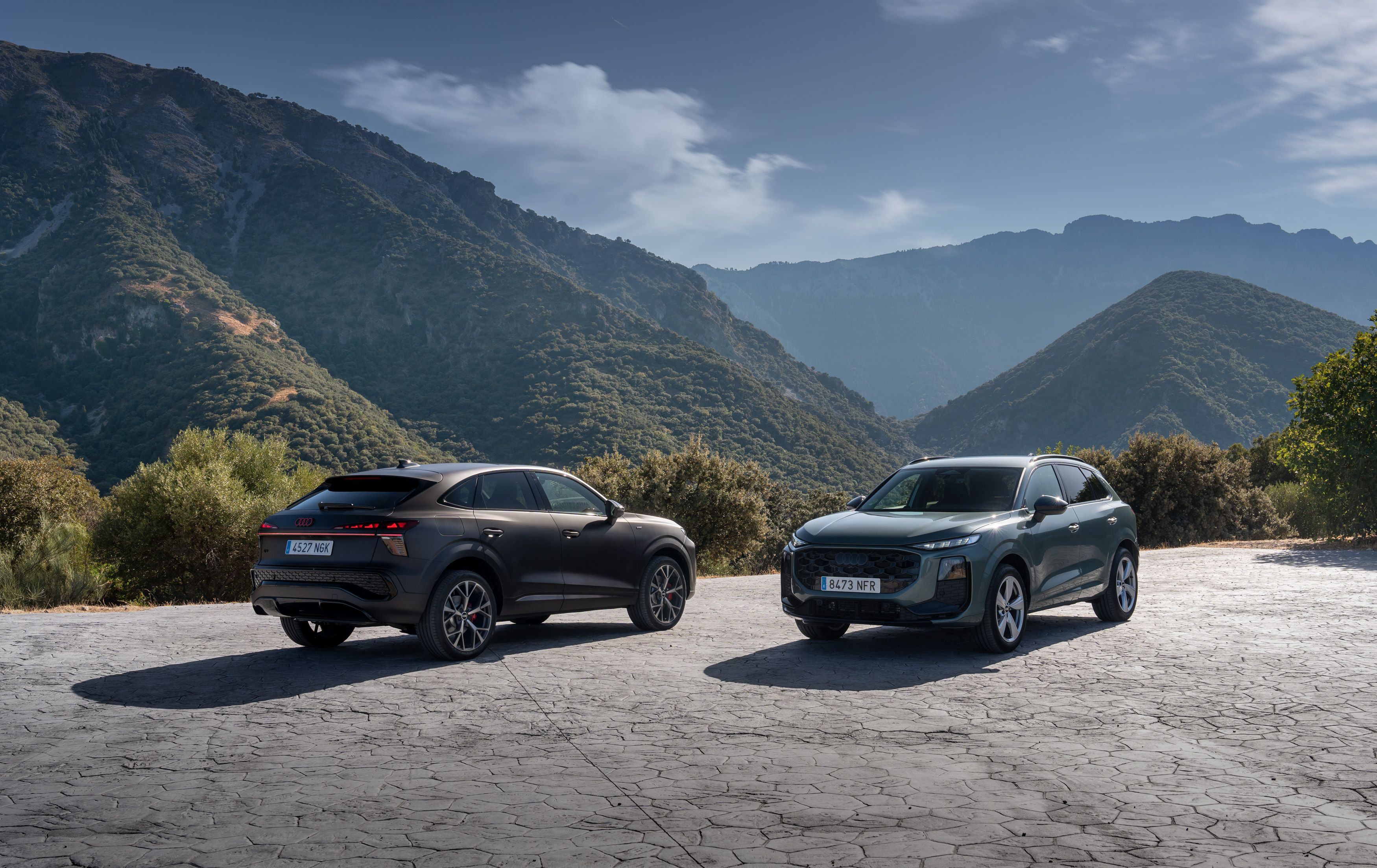 Audi Q3 2.0 TDI quattro S tronic de 193 CV