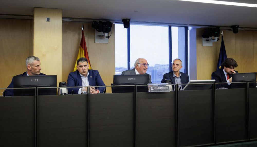 Pere Navarro en la Comisión de Seguridad Vial del Congreso 