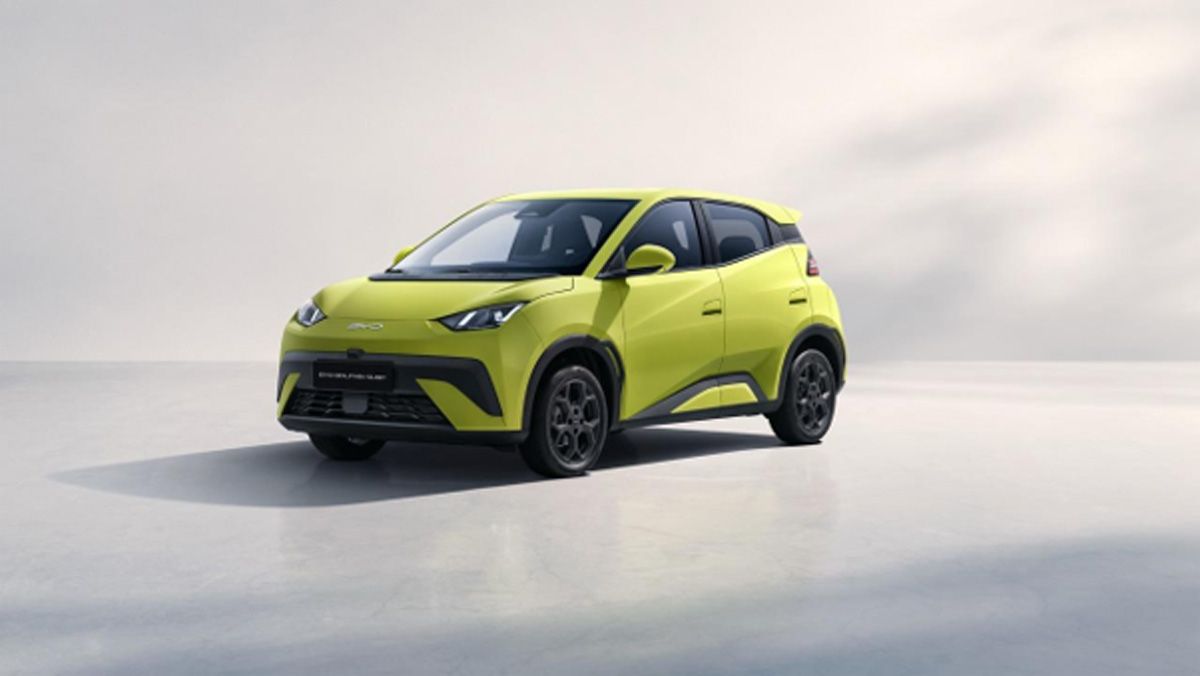 BYD Dolphin Surf