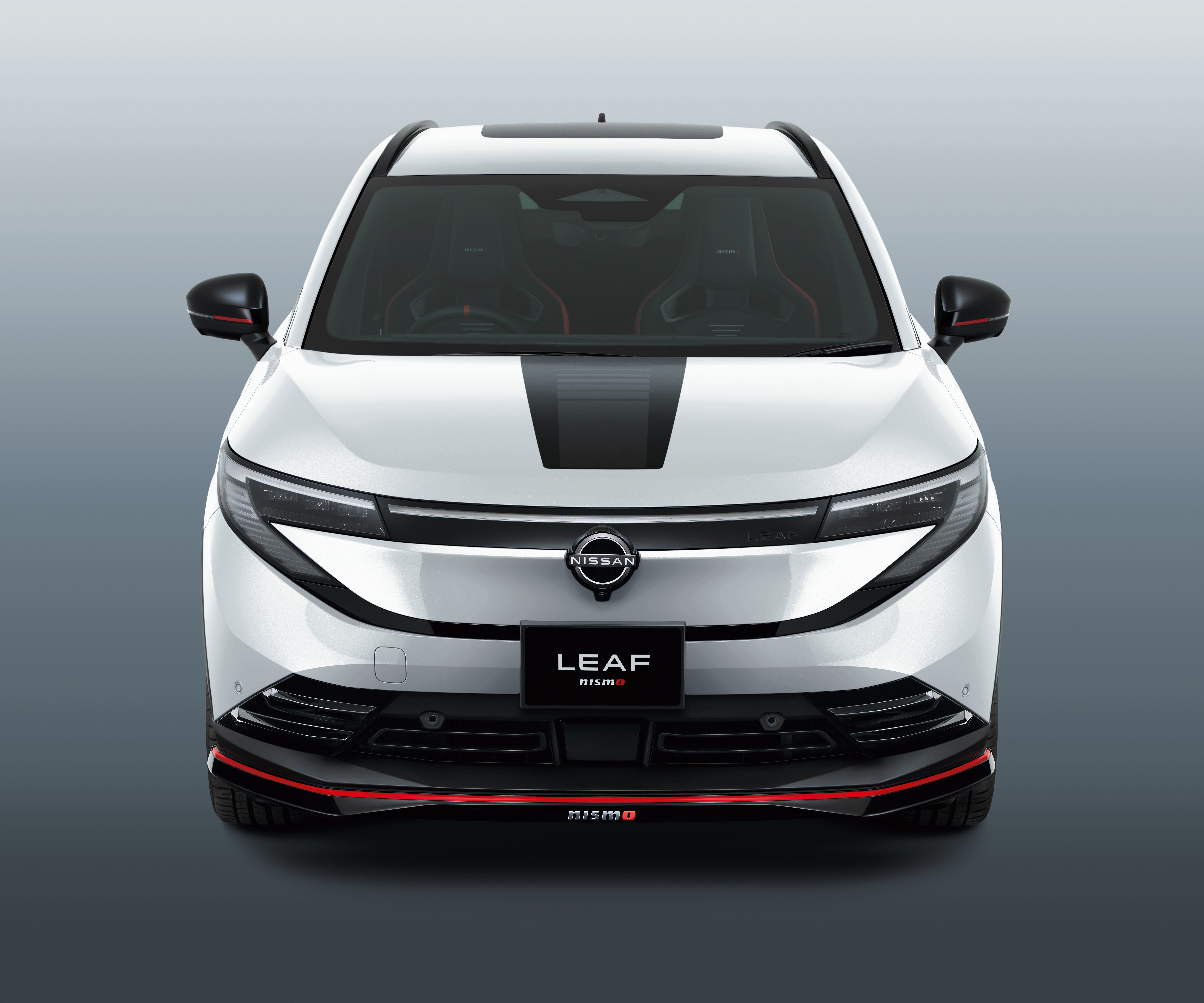 Nissan Leaf Nismo