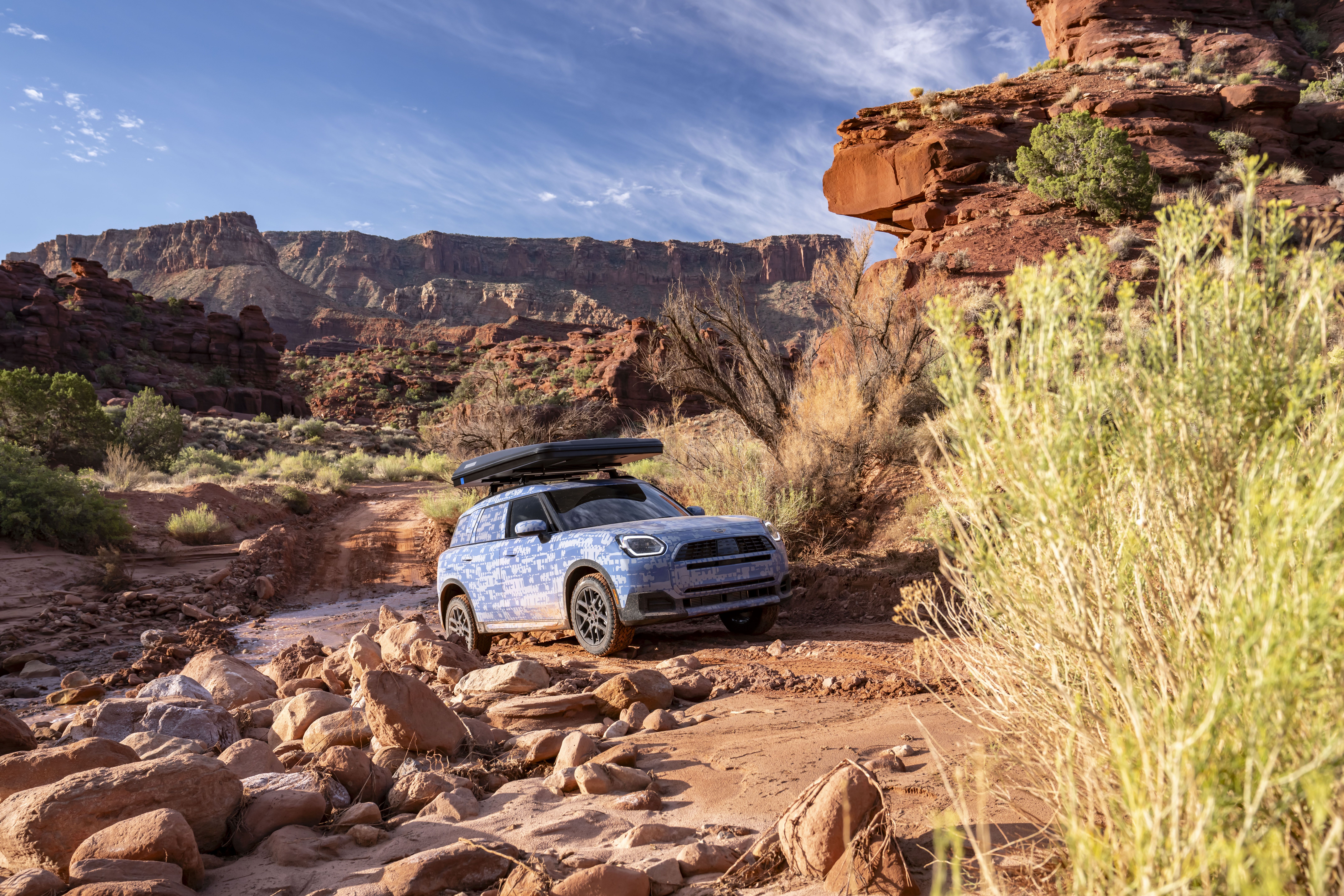 Mini Countryman Edition (prototipo)