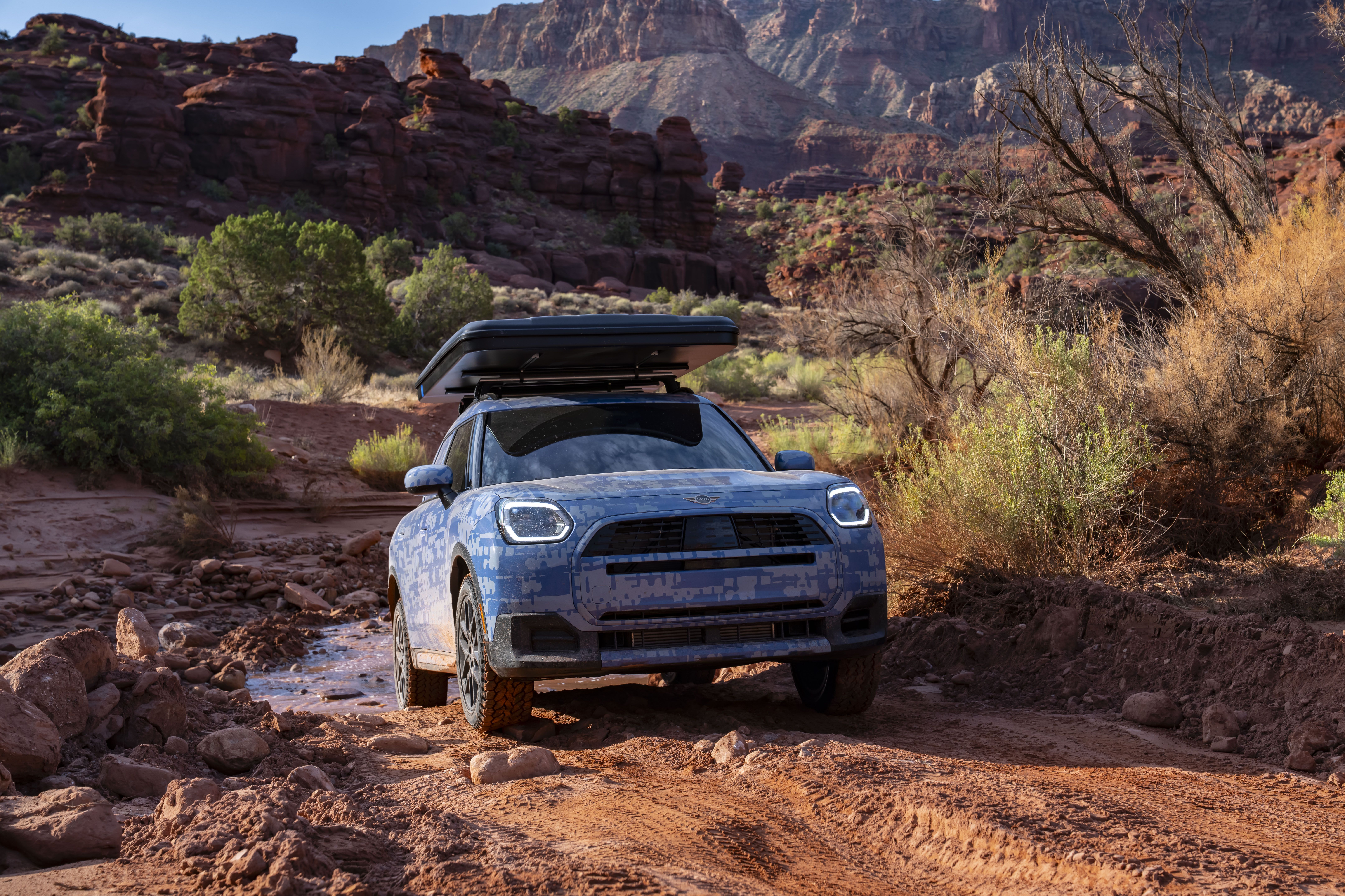 Mini Countryman Edition (prototipo)