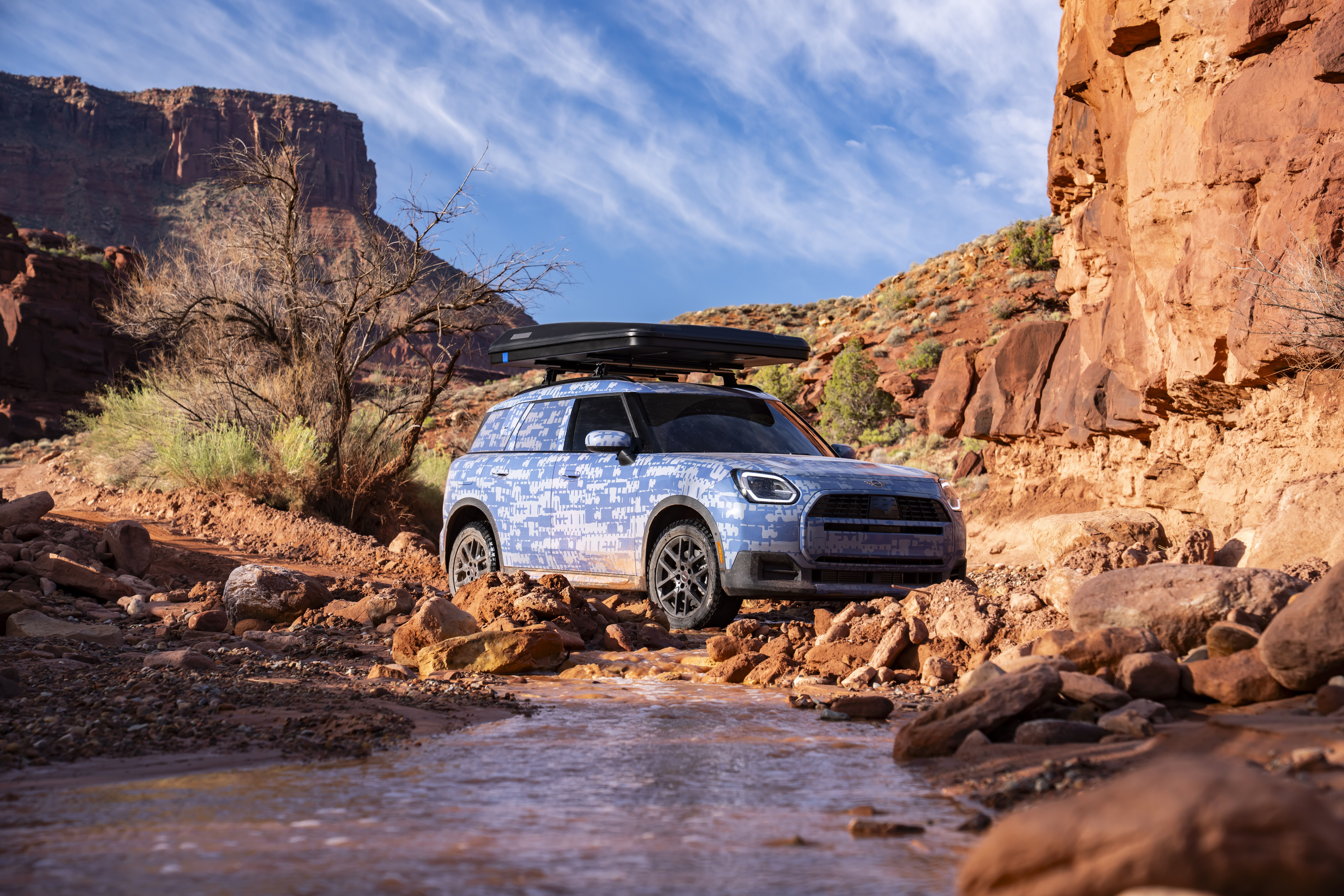 Mini Countryman Edition (prototipo)