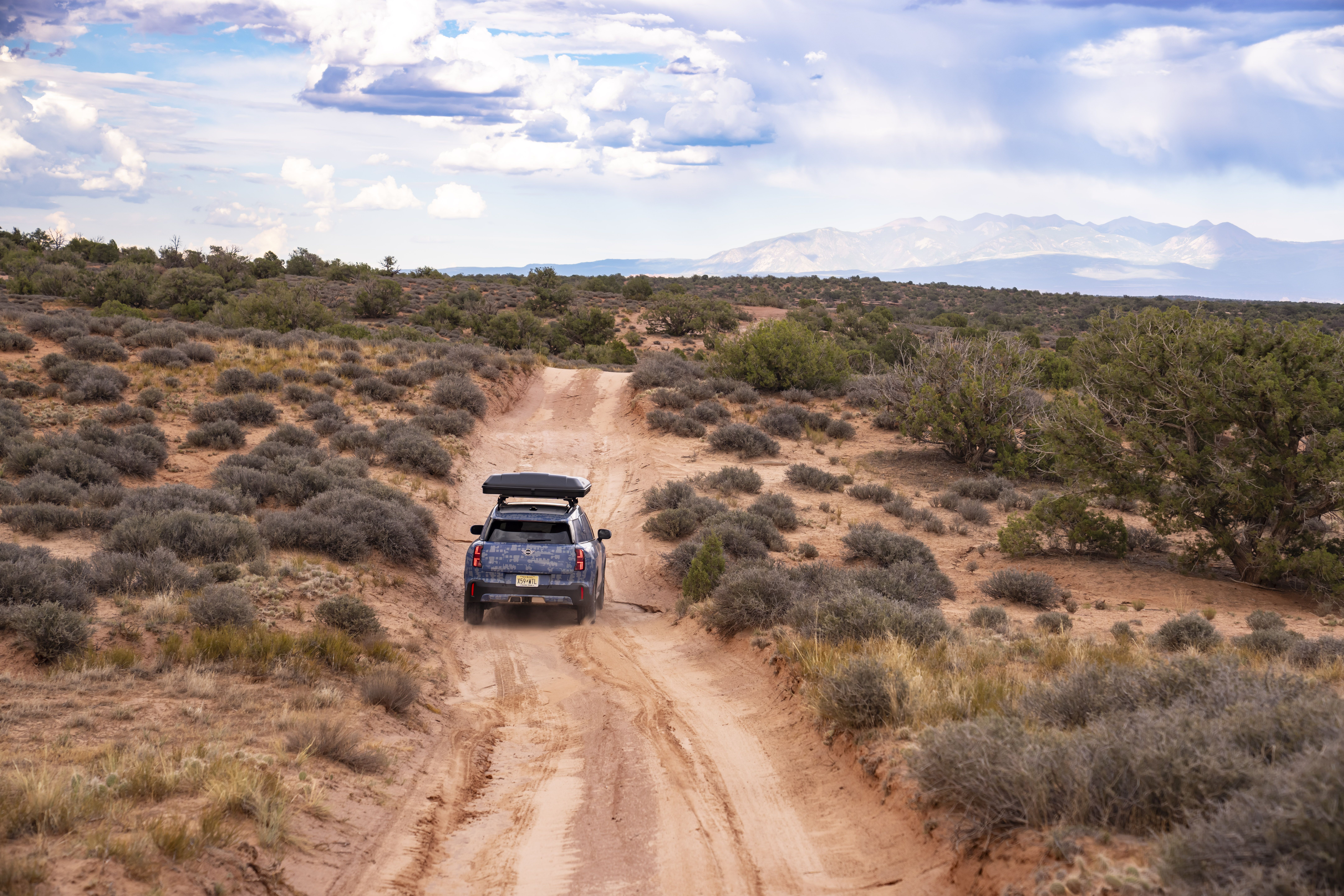 Mini Countryman Edition (prototipo)