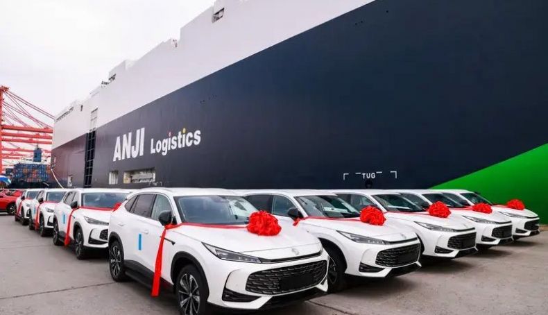 Barco Ro-Ro para el transporte de coches de MG