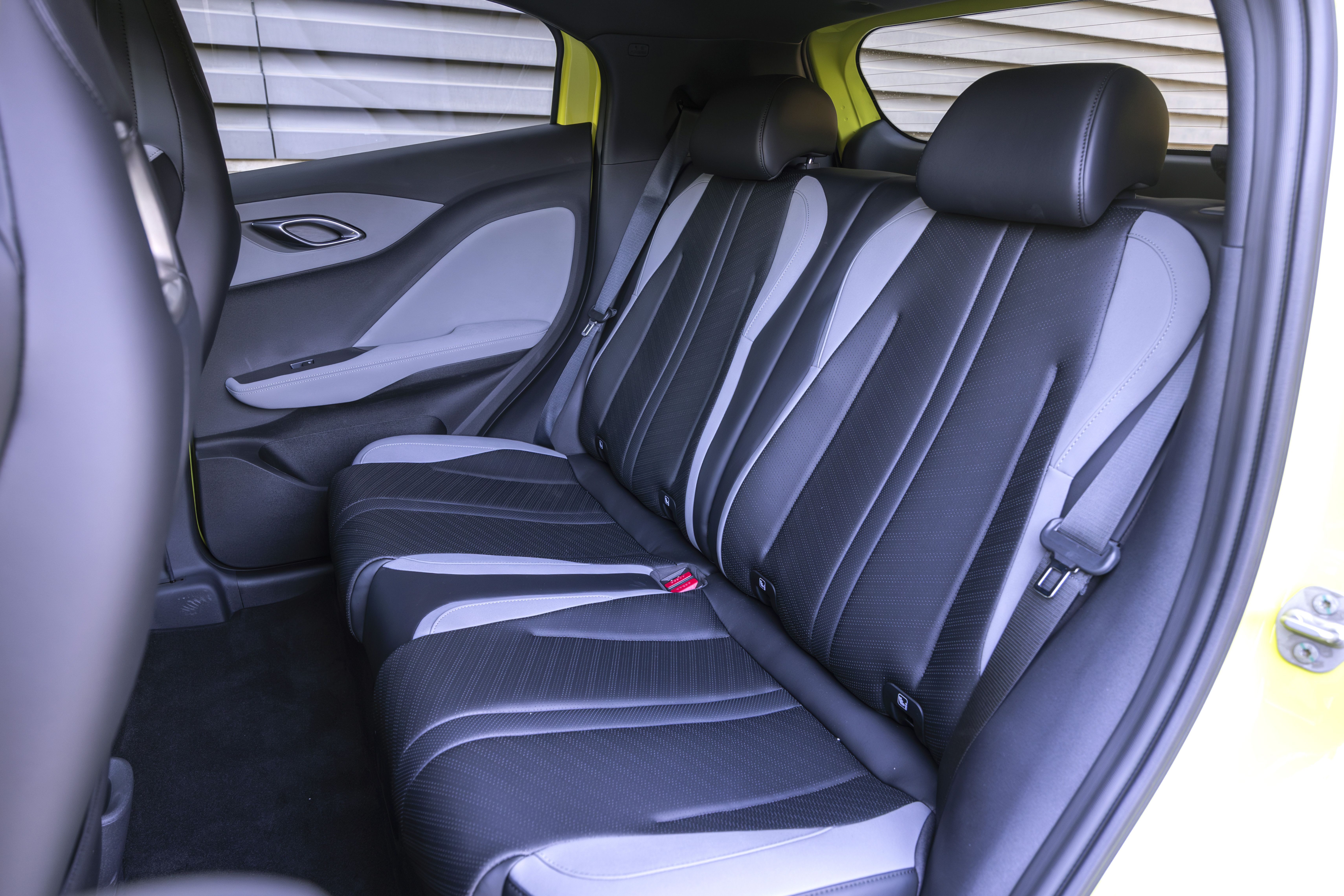 BYD Dolphin Surf