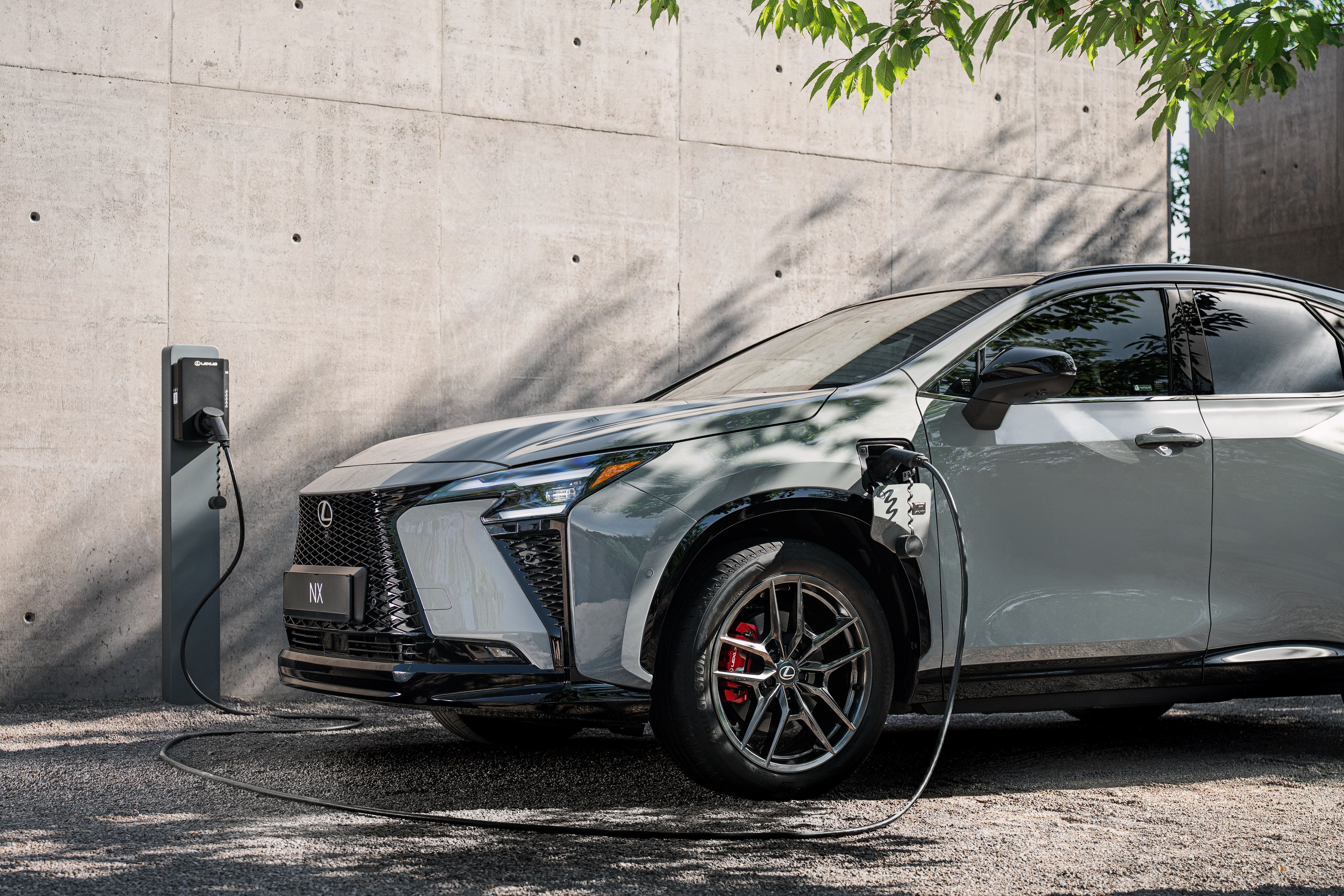 Lexus NX F-SPORT 2026