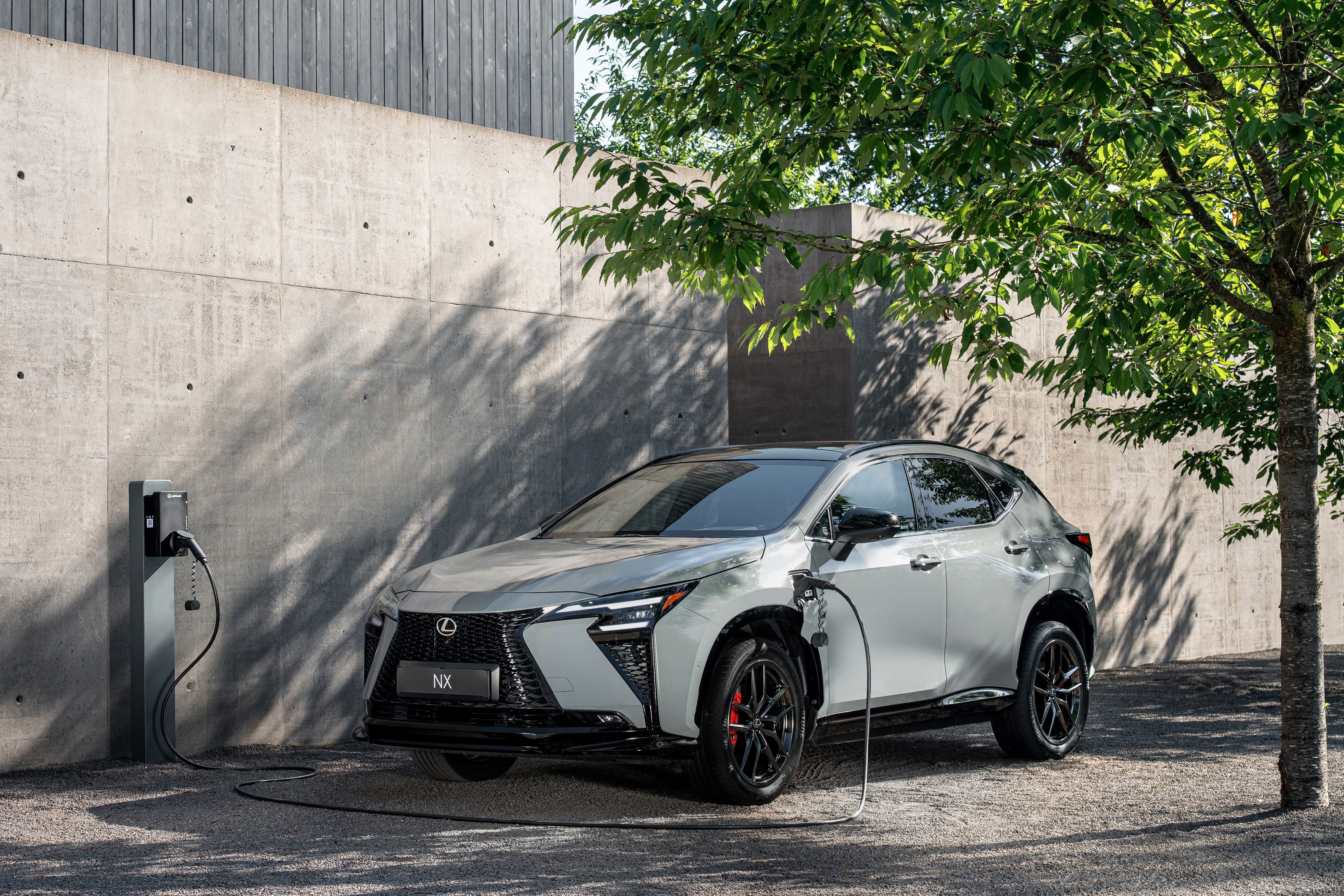 Lexus NX F-SPORT 2026