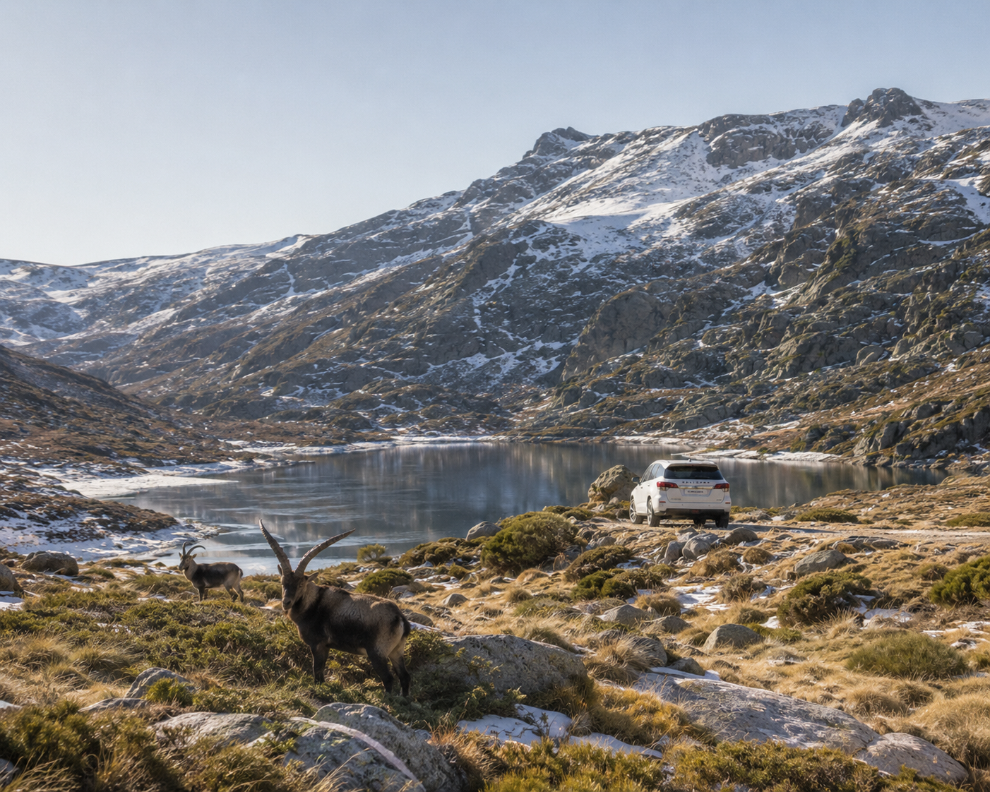 Galloper Gredos