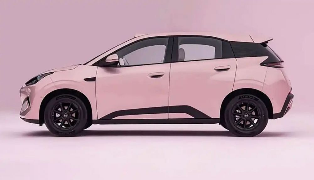 BYD Dolphin Surf 2027