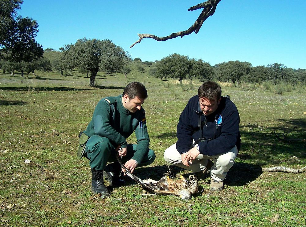 Los delitos ambientales han aumentaron un 4,6% en 2017. © Marcelino Cardalliaguet-SEO/BirdLife