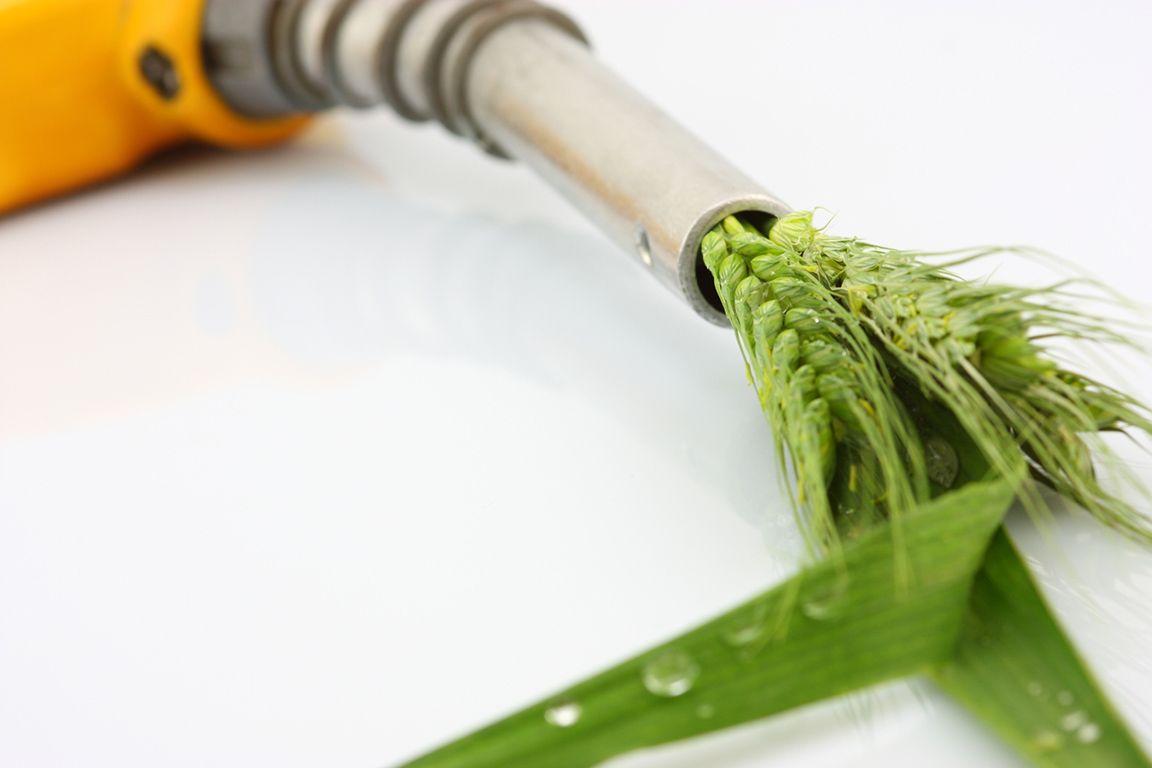 ecocombustibles