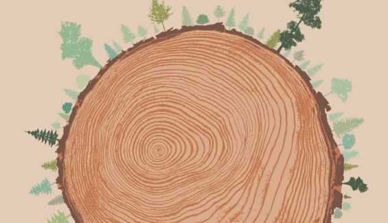 El clamor de los bosques. Editorial AdN