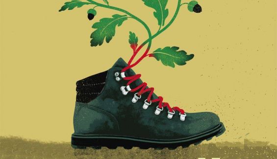 Vitamina N. Guía esencial para una vida rica en la naturaleza. Editorial Kalandraka