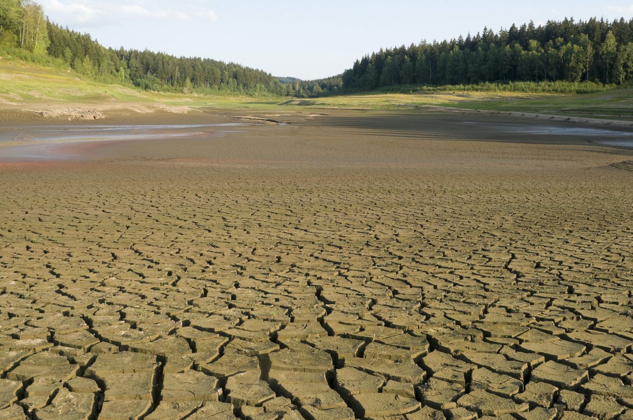 Los científicos descubren una nueva fuente de emisiones de CO2 en los cauces y fondos secos. Foto: iStock