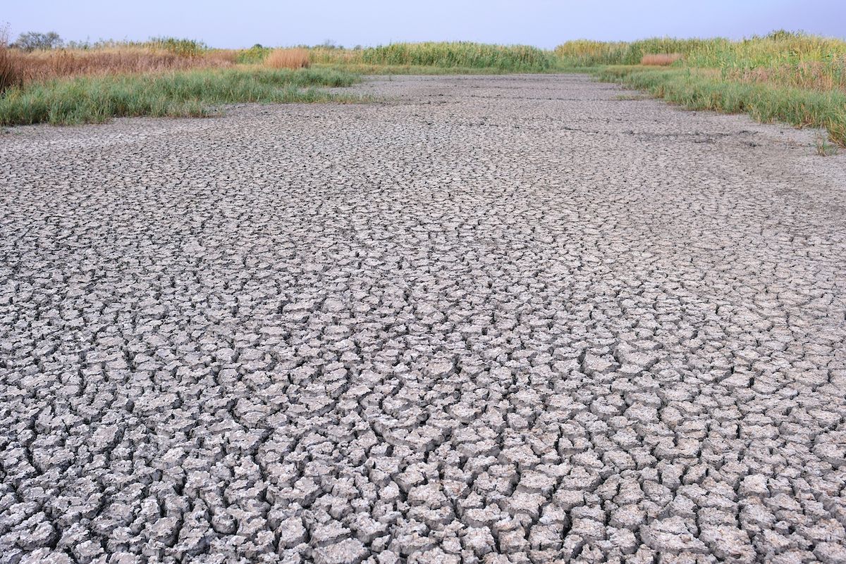 Todavía faltan muchas piezas para entender del todo el ciclo del dióxido de carbono a escala planetaria.