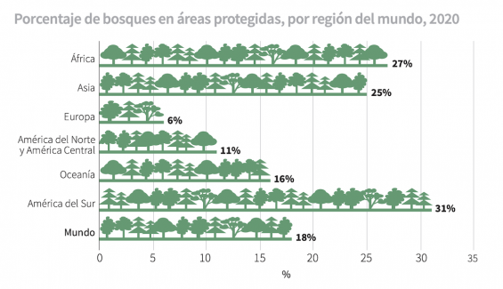 Bosques 3 Bosques 3