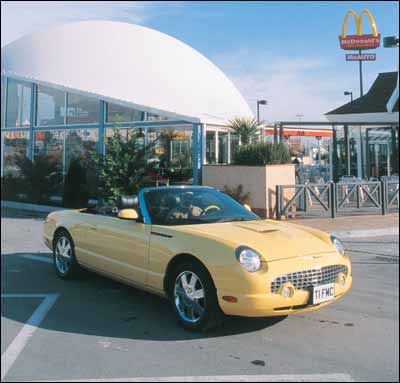 98c563f_thunderbird_1g.jpg