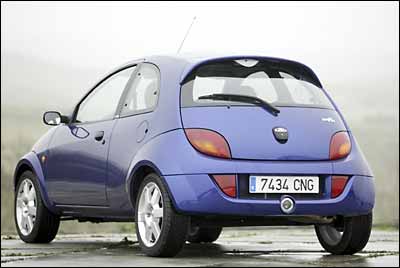 Aspecto musculoso desde la parte de atrás.