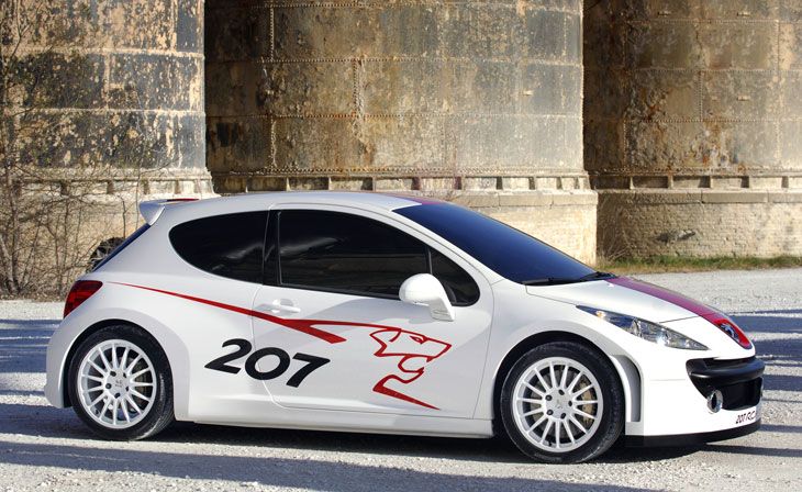 Monta un motor de gasolina 2.0 atmosférico de doble árbol de levas en cabeza y cuatro válvulas por cilindro, con una potencia de unos 280 caballos.