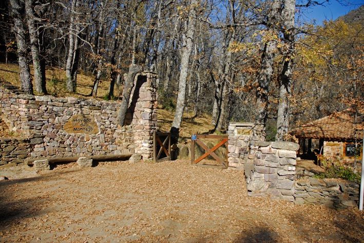 Los visitantes del Hayedo de Montejo pueden difrutar de un área recreativa que se encuentra junto a su entrada.