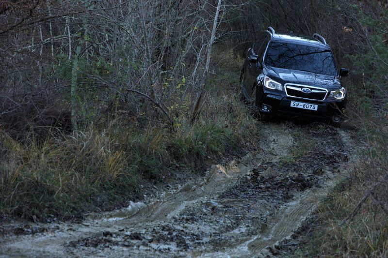 Descubre el nuevo Subaru Forester