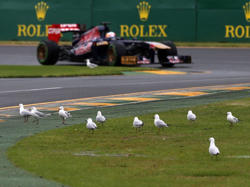 GP Australia 2013 F1 domingo