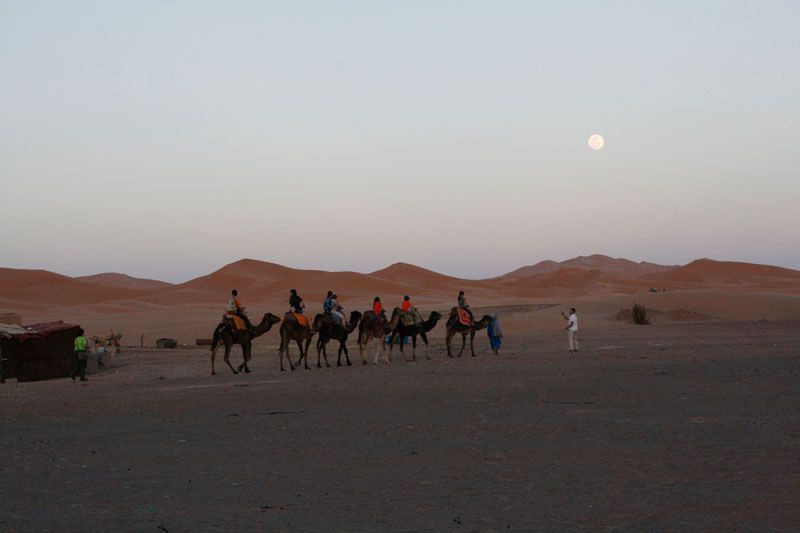 El Desierto de los Niños 2013