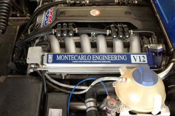 Montecarlo Rascasse