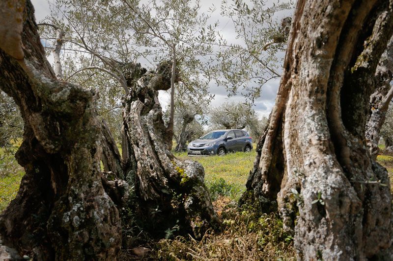 Prueba: Toyota RAV4 150D AWD, más y mejor SUV