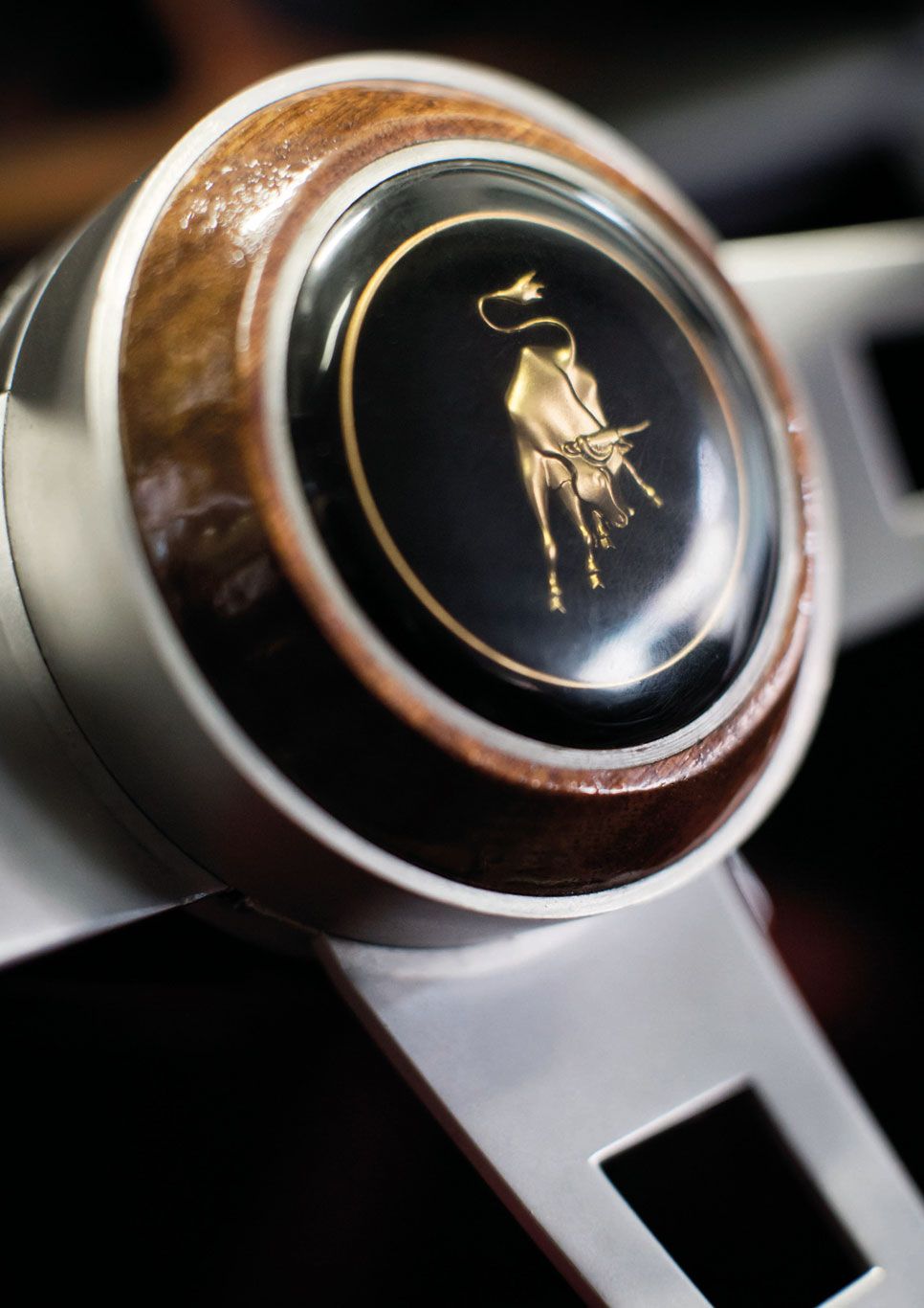 Las 50 mejores fotos de los 50 años de Lamborghini