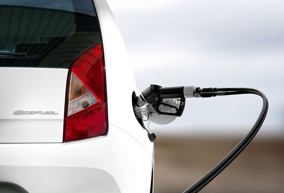 Seat León TGI y Mii Ecofuel